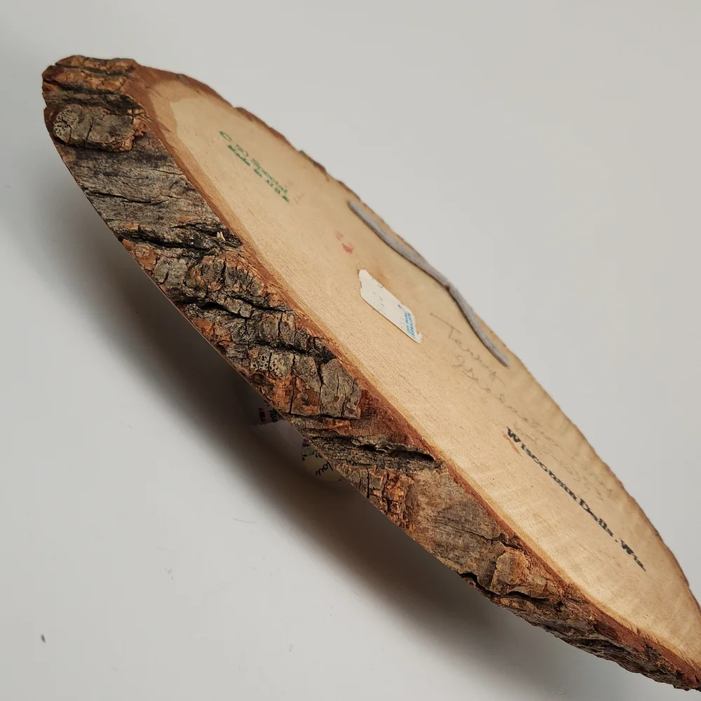 Wisconsin Dells scene on natural wood From 1983!